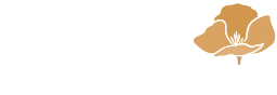 Dentist San Mateo